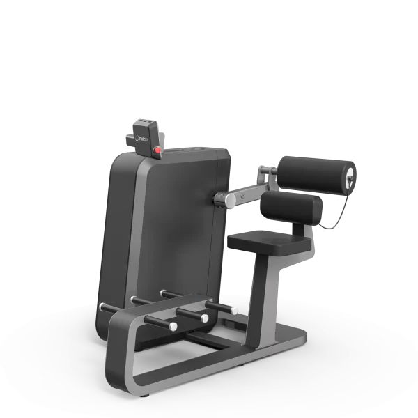 milon Q Back Extension